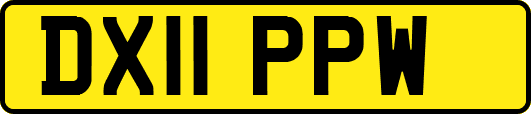 DX11PPW