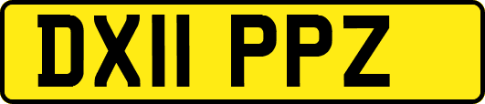 DX11PPZ