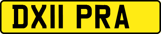 DX11PRA