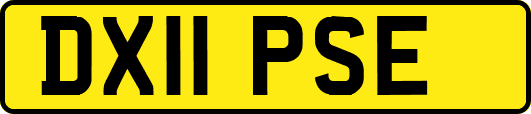 DX11PSE