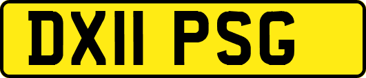 DX11PSG