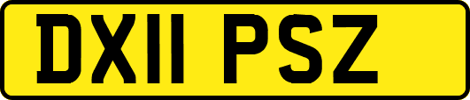 DX11PSZ