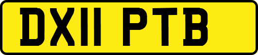 DX11PTB