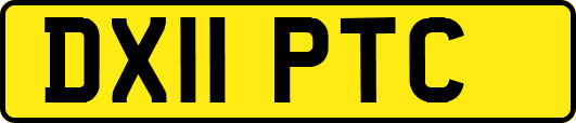 DX11PTC