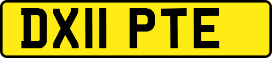 DX11PTE