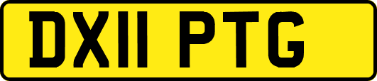 DX11PTG
