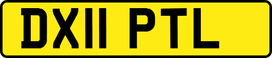 DX11PTL