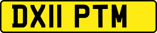 DX11PTM