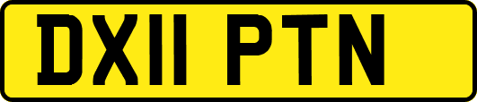 DX11PTN