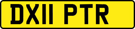 DX11PTR