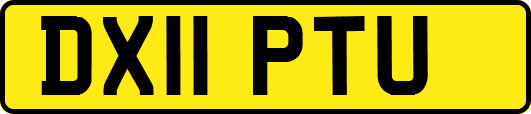 DX11PTU