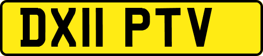 DX11PTV