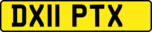 DX11PTX