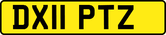 DX11PTZ