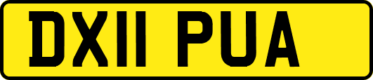 DX11PUA