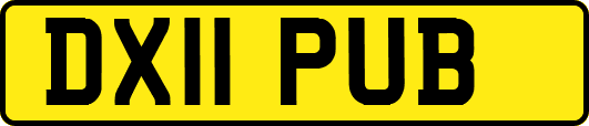 DX11PUB