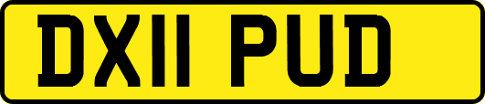 DX11PUD