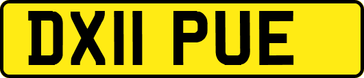 DX11PUE