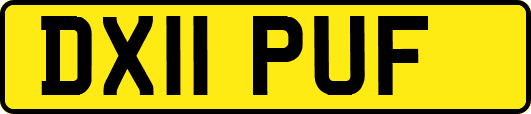 DX11PUF