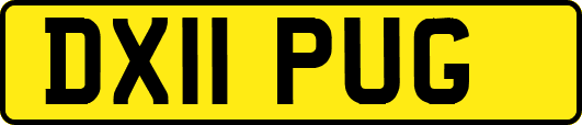 DX11PUG