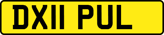 DX11PUL