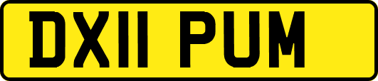 DX11PUM