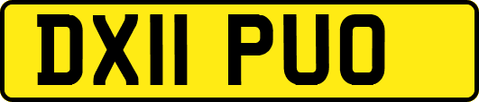 DX11PUO