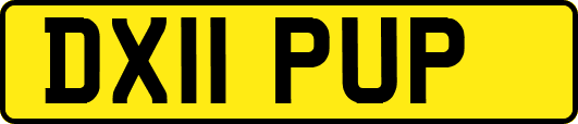 DX11PUP