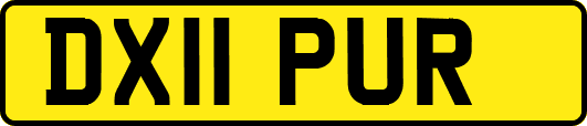 DX11PUR