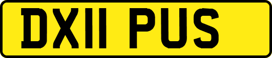 DX11PUS