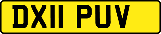 DX11PUV