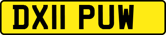 DX11PUW