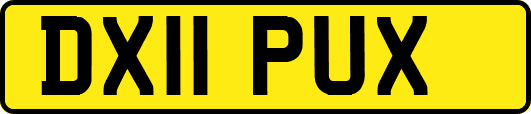 DX11PUX