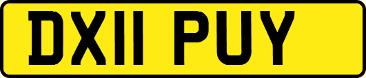 DX11PUY