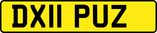 DX11PUZ