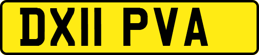 DX11PVA