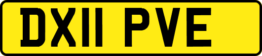 DX11PVE