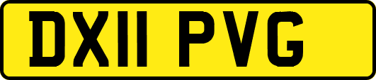 DX11PVG