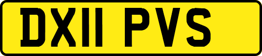 DX11PVS
