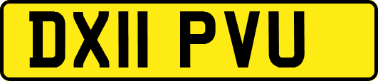 DX11PVU