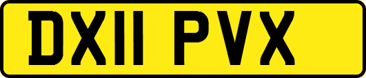 DX11PVX