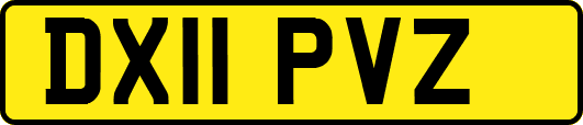 DX11PVZ