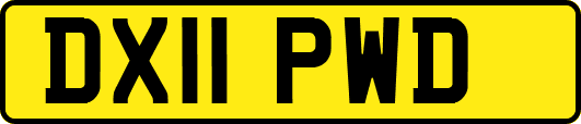 DX11PWD