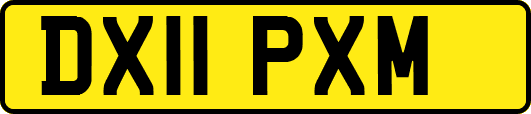 DX11PXM
