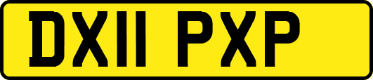 DX11PXP