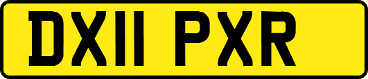 DX11PXR
