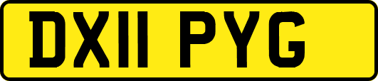 DX11PYG