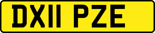 DX11PZE