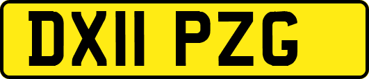 DX11PZG