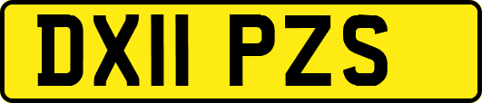 DX11PZS